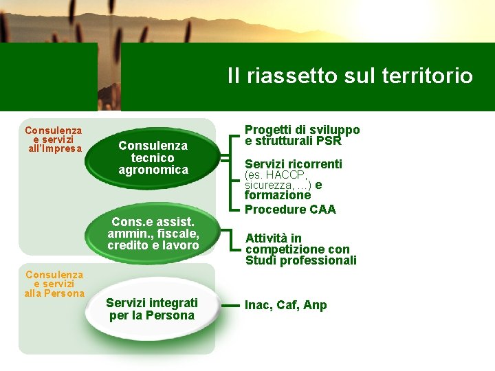 Il riassetto sul territorio Consulenza e servizi all’Impresa Consulenza tecnico agronomica Cons. e assist.