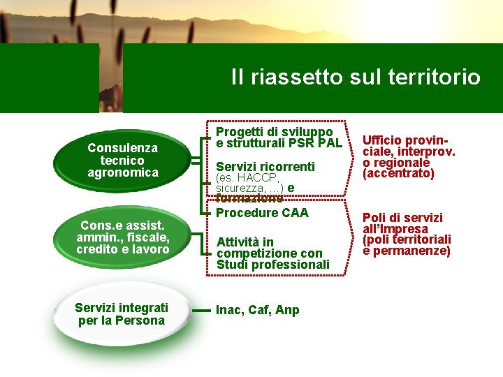 Il riassetto sul territorio Consulenza tecnico agronomica Cons. e assist. ammin. , fiscale, credito