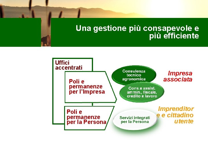 Una gestione più consapevole e più efficiente Uffici accentrati Poli e permanenze per l’Impresa