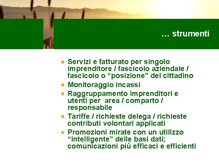 … strumenti Servizi e fatturato per singolo imprenditore / fascicolo aziendale / fascicolo o