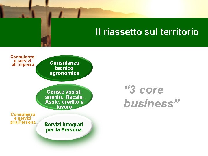 Il riassetto sul territorio Consulenza e servizi all’Impresa Consulenza tecnico agronomica Cons. e assist.