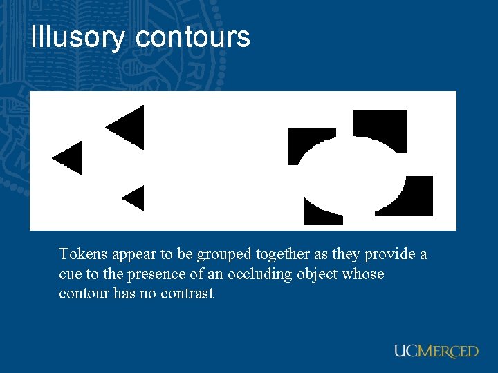Illusory contours Tokens appear to be grouped together as they provide a cue to Illusory contours Tokens appear to be grouped together as they provide a cue to