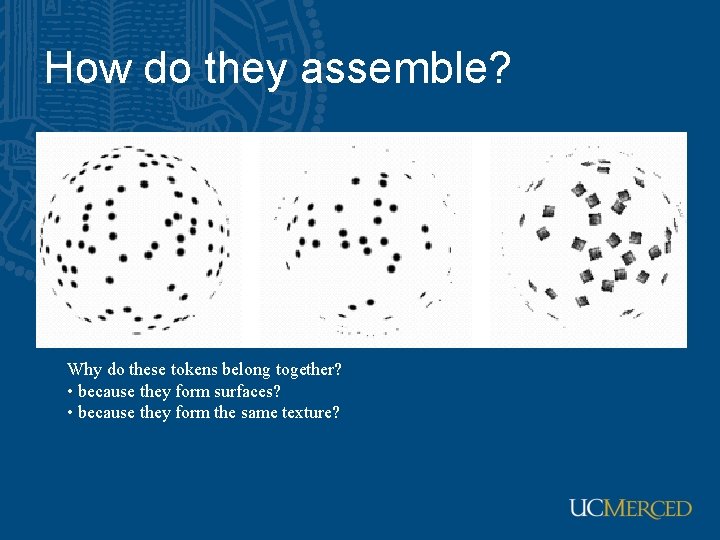 How do they assemble? Why do these tokens belong together? • because they form How do they assemble? Why do these tokens belong together? • because they form