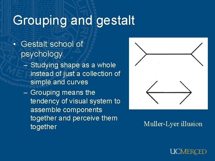 Grouping and gestalt • Gestalt school of psychology – Studying shape as a whole