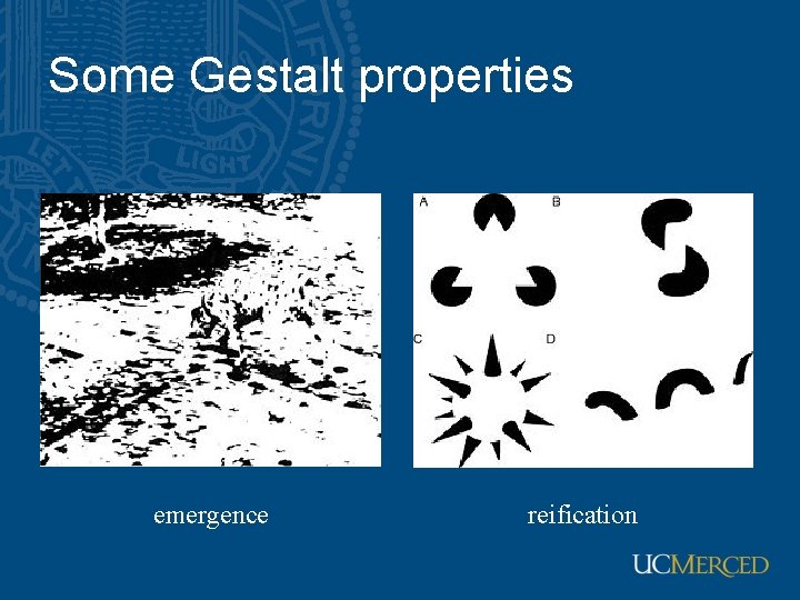 Some Gestalt properties emergence reification Some Gestalt properties emergence reification