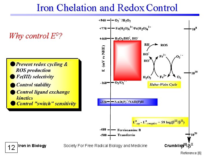 Iron Chelation and Redox Control Why control E 0? 12 Iron in Biology Society