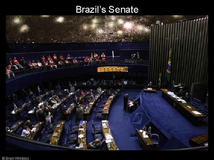 Brazil’s Senate © Brain Wrinkles 