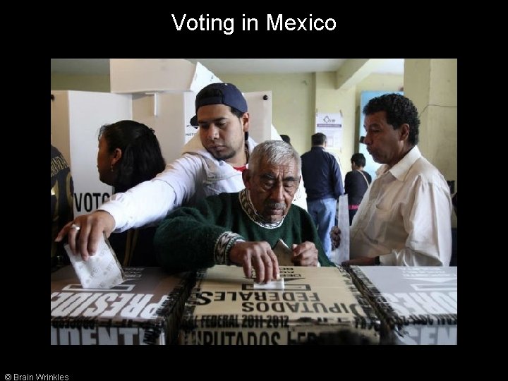 Voting in Mexico © Brain Wrinkles 