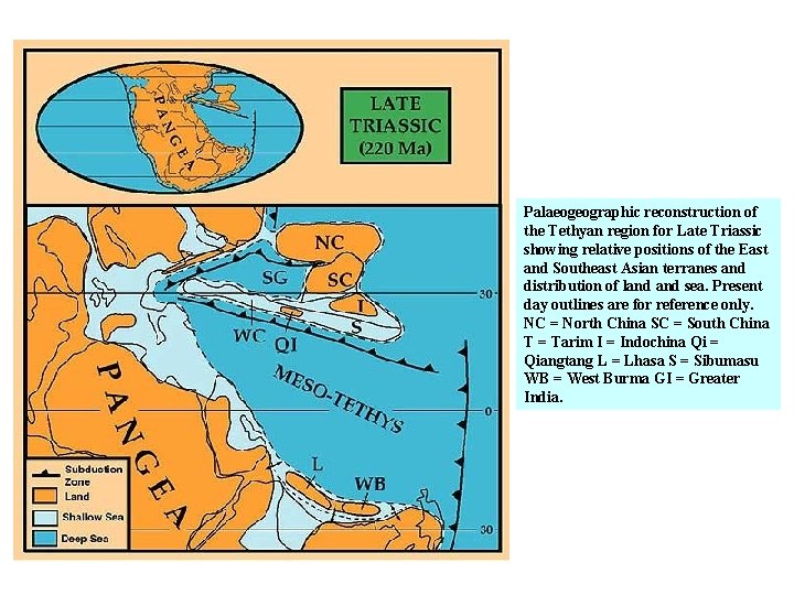 Palaeogeographic reconstruction of the Tethyan region for Late Triassic showing relative positions of the