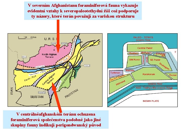 V severním Afghanistanu foraminiferová fauna vykazuje evidentní vztahy k severopaleotethydní říši což podporuje ty