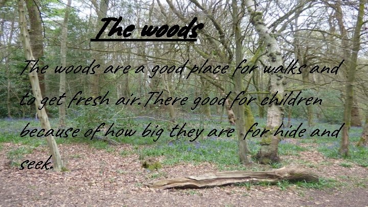 The woods are a good place for walks and to get fresh air. There