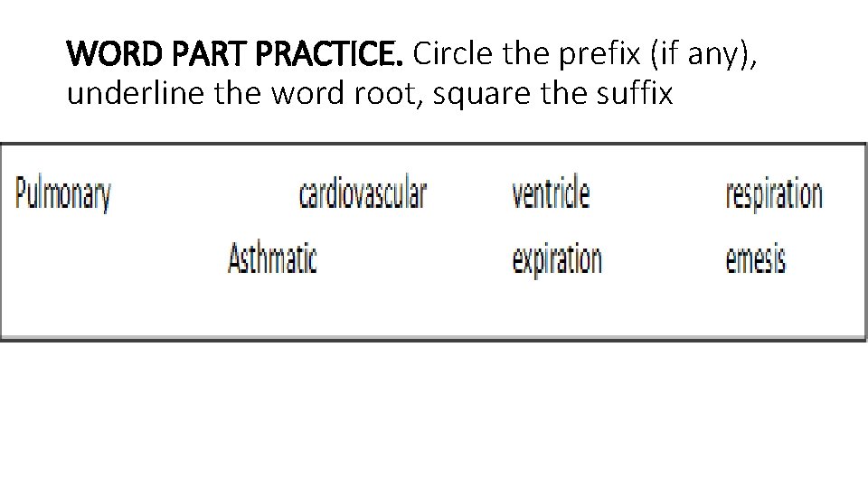 WORD PART PRACTICE. Circle the prefix (if any), underline the word root, square the