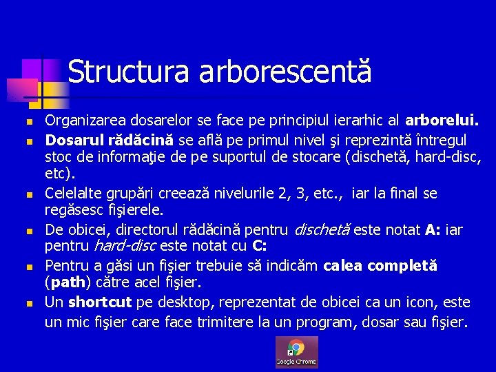 Structura arborescentă n n n Organizarea dosarelor se face pe principiul ierarhic al arborelui.