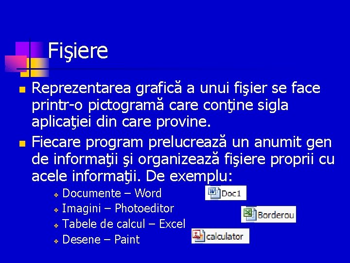 Fişiere n n Reprezentarea grafică a unui fişier se face printr-o pictogramă care conţine