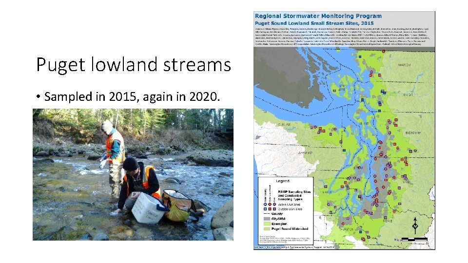 Puget lowland streams • Sampled in 2015, again in 2020. 