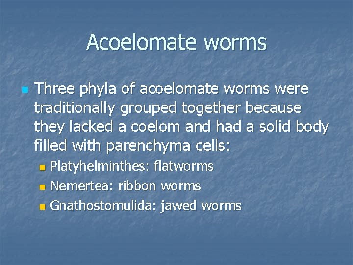 Acoelomate worms n Three phyla of acoelomate worms were traditionally grouped together because they