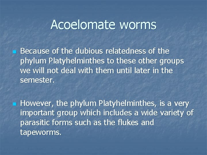 Acoelomate worms n n Because of the dubious relatedness of the phylum Platyhelminthes to