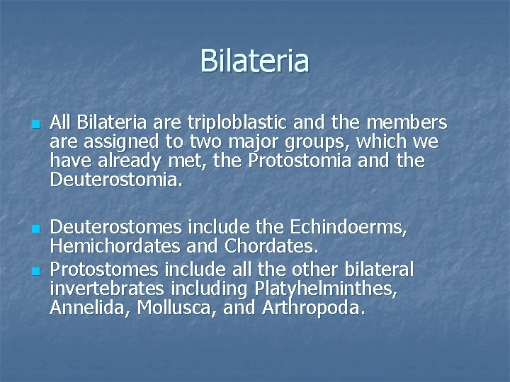 Bilateria n n n All Bilateria are triploblastic and the members are assigned to
