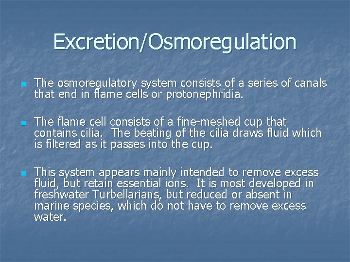 Excretion/Osmoregulation n The osmoregulatory system consists of a series of canals that end in