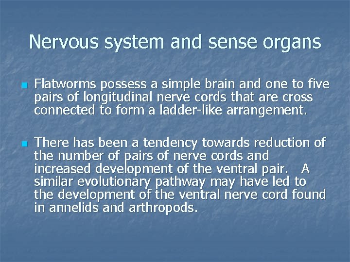 Nervous system and sense organs n n Flatworms possess a simple brain and one
