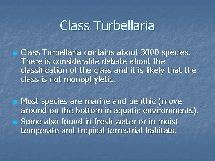 Class Turbellaria n n n Class Turbellaria contains about 3000 species. There is considerable