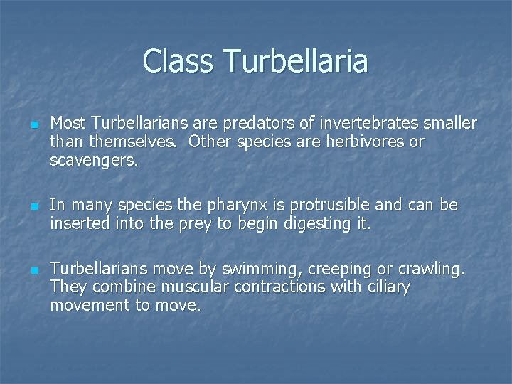Class Turbellaria n n n Most Turbellarians are predators of invertebrates smaller than themselves.