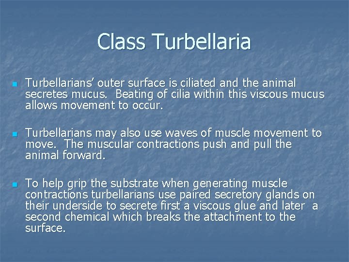 Class Turbellaria n n n Turbellarians’ outer surface is ciliated and the animal secretes