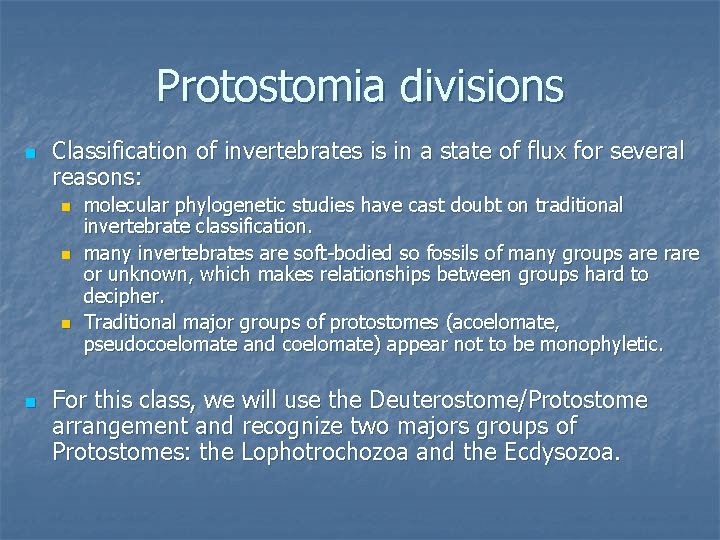 Protostomia divisions n Classification of invertebrates is in a state of flux for several