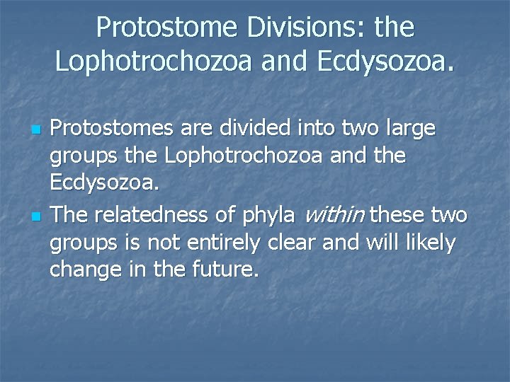 Protostome Divisions: the Lophotrochozoa and Ecdysozoa. n n Protostomes are divided into two large