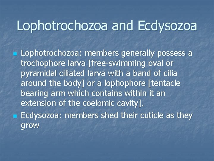 Lophotrochozoa and Ecdysozoa n n Lophotrochozoa: members generally possess a trochophore larva [free-swimming oval