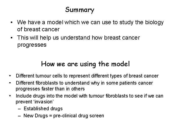 Summary • We have a model which we can use to study the biology