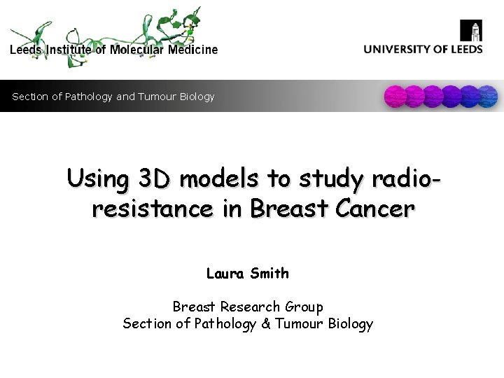 Section of Pathology and Tumour Biology Using 3 D models to study radioresistance in