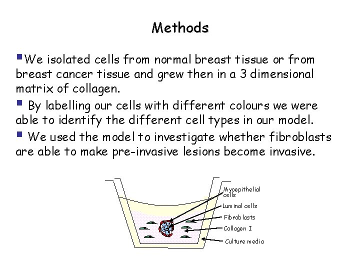 Methods §We isolated cells from normal breast tissue or from breast cancer tissue and