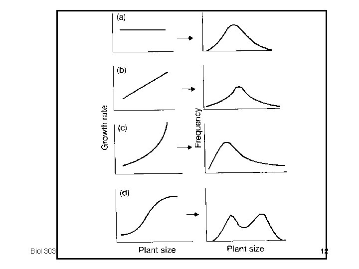 Biol 303 Competition 12 