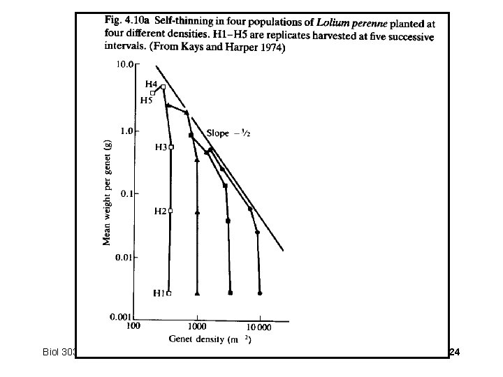 Biol 303 Competition 24 