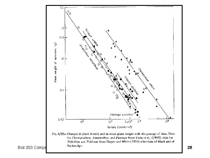 Biol 303 Competition 25 