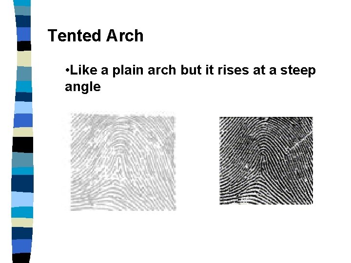 Tented Arch • Like a plain arch but it rises at a steep angle