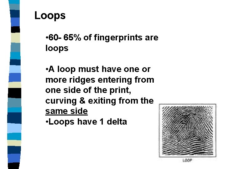 Loops • 60 - 65% of fingerprints are loops • A loop must have