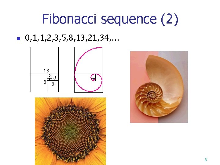 Fibonacci sequence (2) n 0, 1, 1, 2, 3, 5, 8, 13, 21, 34,