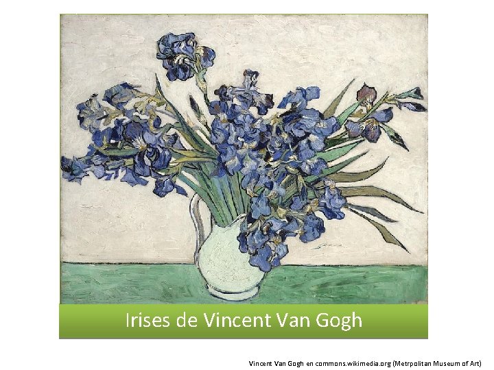 Irises de Vincent Van Gogh en commons. wikimedia. org (Metrpolitan Museum of Art) 
