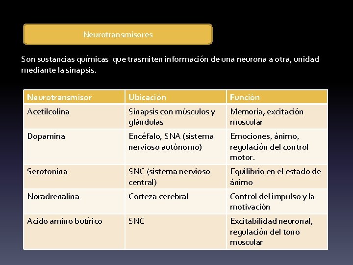 Neurotransmisores Son sustancias químicas que trasmiten información de una neurona a otra, unidad •