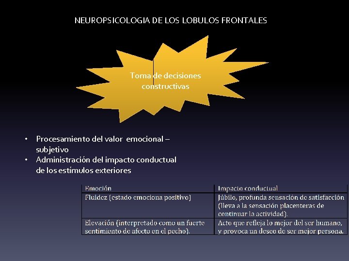 NEUROPSICOLOGIA DE LOS LOBULOS FRONTALES Toma de decisiones constructivas • Procesamiento del valor emocional