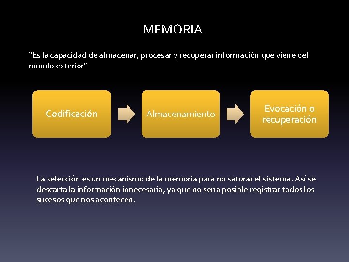 MEMORIA “Es la capacidad de almacenar, procesar y recuperar información que viene del mundo