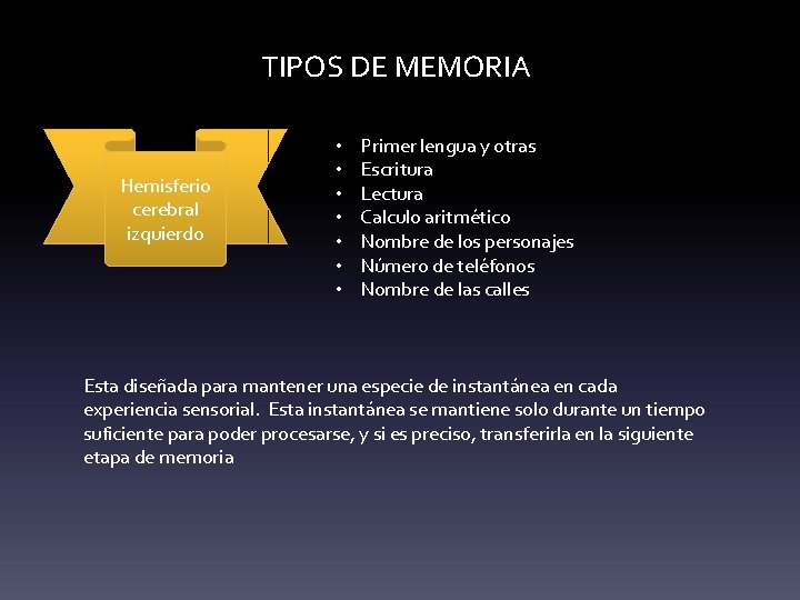 TIPOS DE MEMORIA Hemisferio cerebral izquierdo • • Primer lengua y otras Escritura Lectura