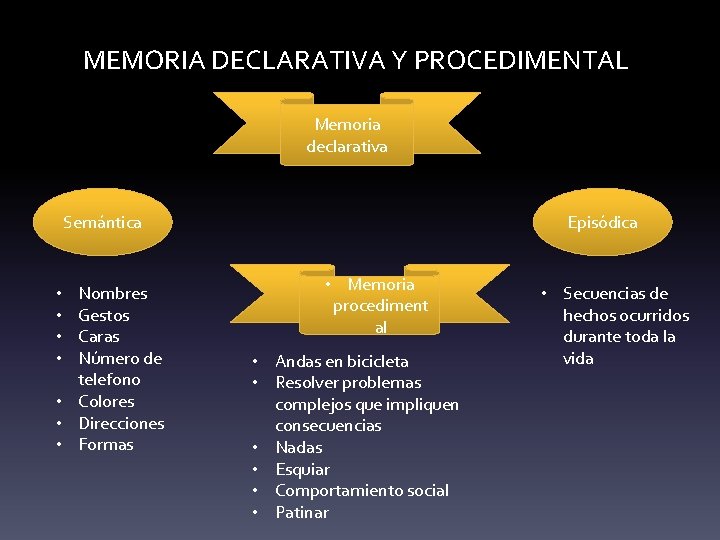 MEMORIA DECLARATIVA Y PROCEDIMENTAL Memoria declarativa Semántica Nombres Gestos Caras Número de telefono •