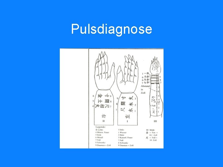 Pulsdiagnose 