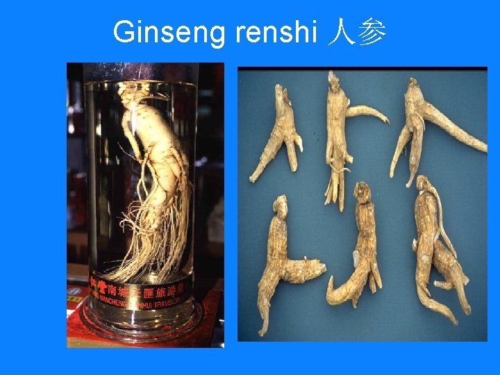 Ginseng renshi 人参 