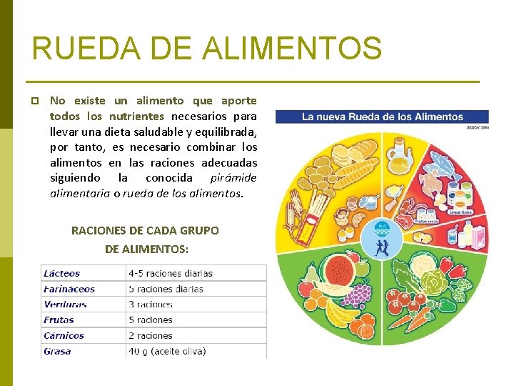 RUEDA DE ALIMENTOS p No existe un alimento que aporte todos los nutrientes necesarios