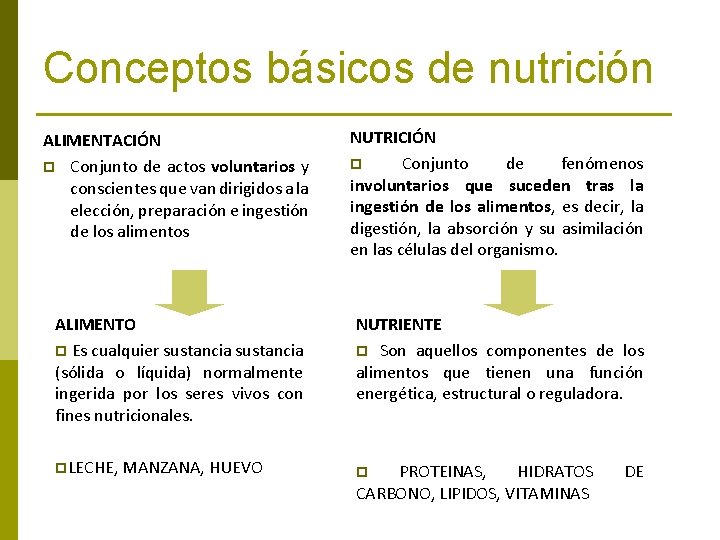 Conceptos básicos de nutrición ALIMENTACIÓN p Conjunto de actos voluntarios y conscientes que van