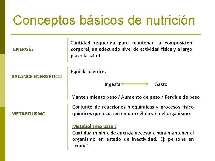 Conceptos básicos de nutrición ENERGÍA BALANCE ENERGÉTICO Cantidad requerida para mantener la composición corporal,